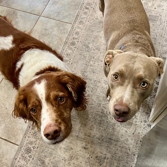 Hi! I’m Andrea 😊 - Picture 5 of 5